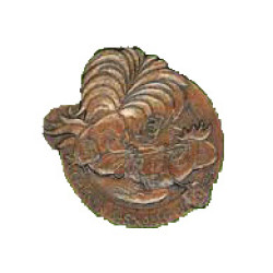 1983 - Miar verlängeren, Leo Schmid